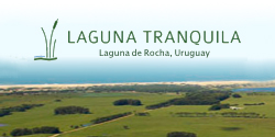 Laguna Tranquila Rocha Uruguay Real Estate Development